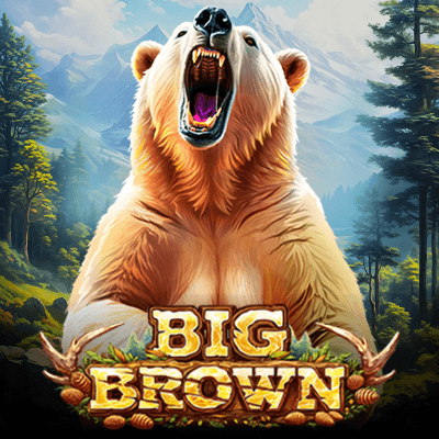 Big Brown Bear