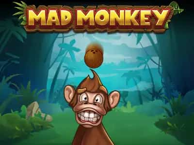 Mad Monkey