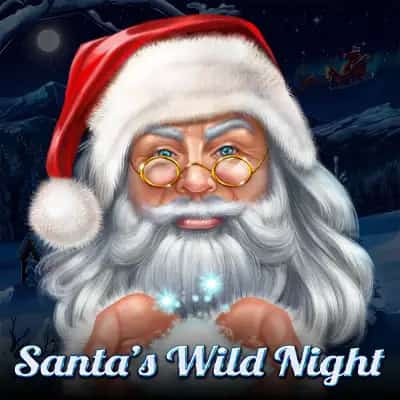Santa's Wild Night