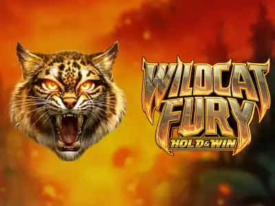 Wildcat Fury