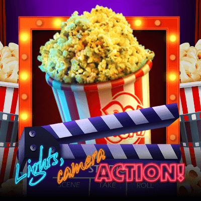 Lights, Camera, Action!