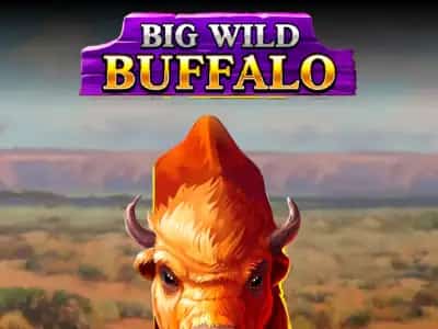 Big Wild Buffalo