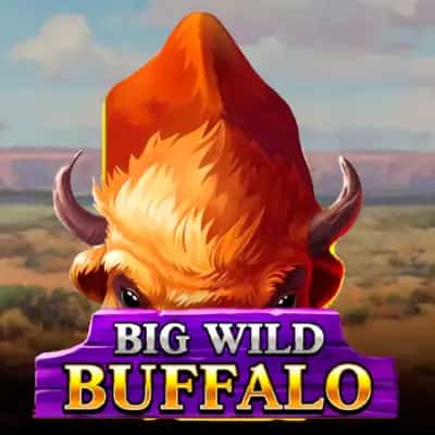 Big Wild Buffalo