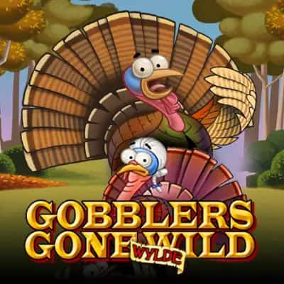 Gobblers Gone Wild