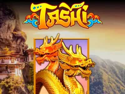 Tashi