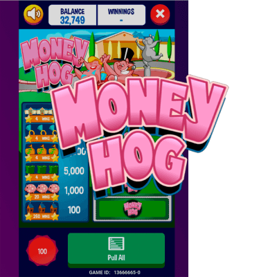 MoneyHog Mini