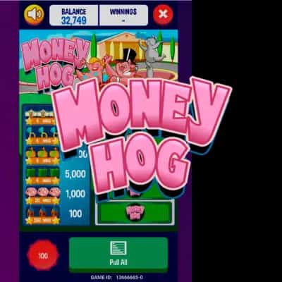 MoneyHog Mini
