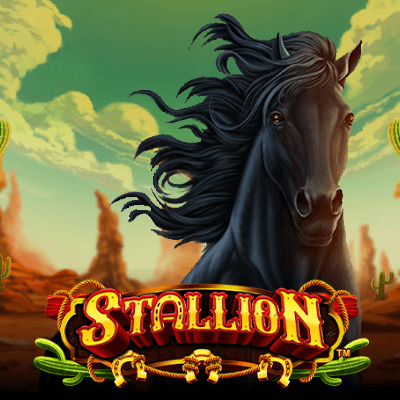 Mustang Run Stallion