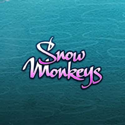 Snow Monkeys