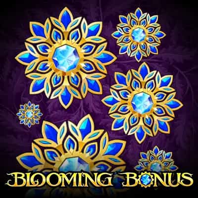 Blooming Bonus