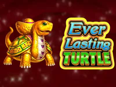 Everlasting Turtle (Bonus Buy)
