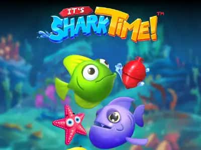 It's Shark Time!