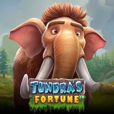 Tundra's Fortune