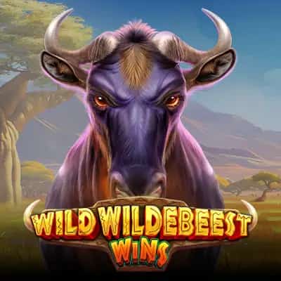 Wild Wildebeest Wins