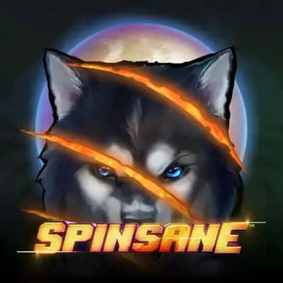 Spinsane