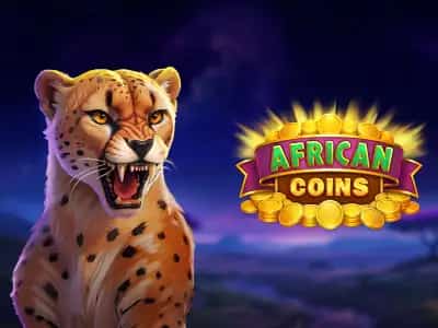 African Coins Hold and Spin