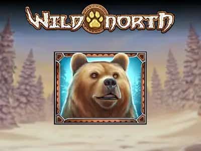 Wild North