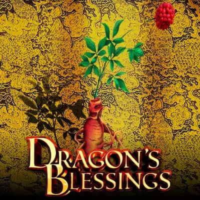 Dragon's Blessings