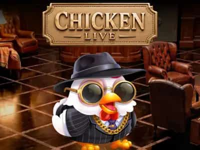 Chicken Live