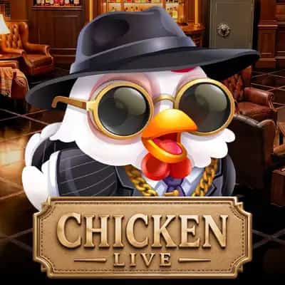 Chicken Live