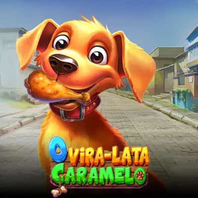 O Vira-lata Caramelo