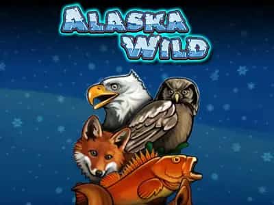 Alaska Wild