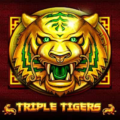Triple Tigers