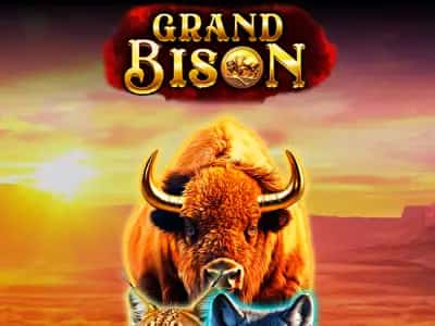 Grand Bison