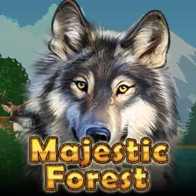 Majestic Forest