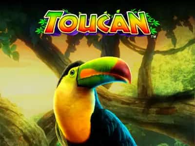 Toucan