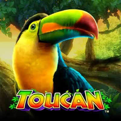 Toucan