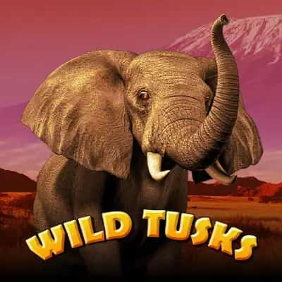 Wild Tusks