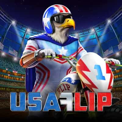 USA Flip