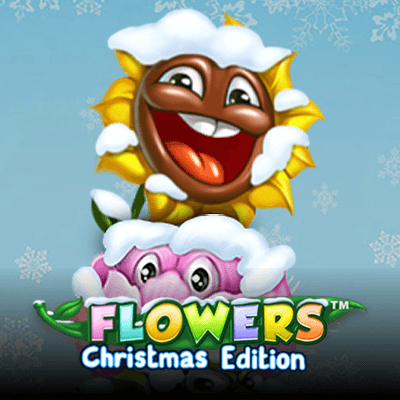 Flowers Christmas Edition