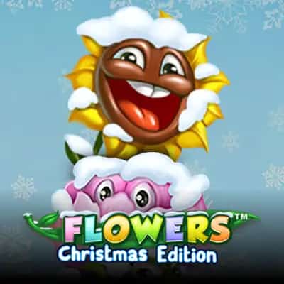 Flowers Christmas Edition
