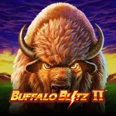 Buffalo Blitz 2