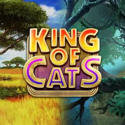 King of Cats