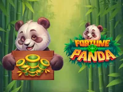 Fortune Panda