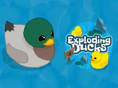 Exploding Ducks
