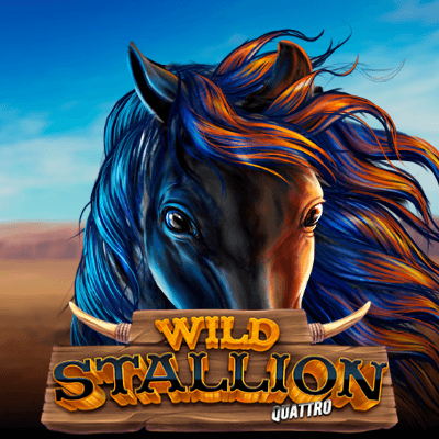 Wild Stallion