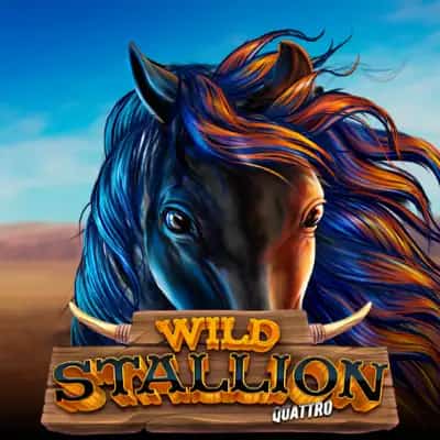 Wild Stallion