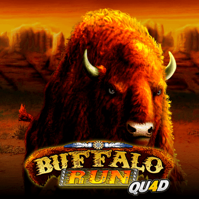 Buffalo Run Quad