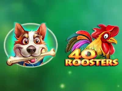 40 Roosters