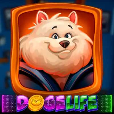 Doge Life