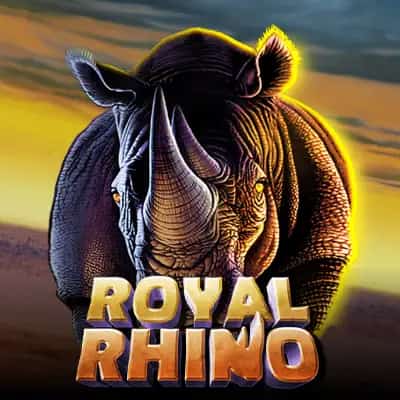 Royal Rhino