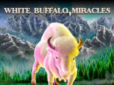 White Buffalo Miracles