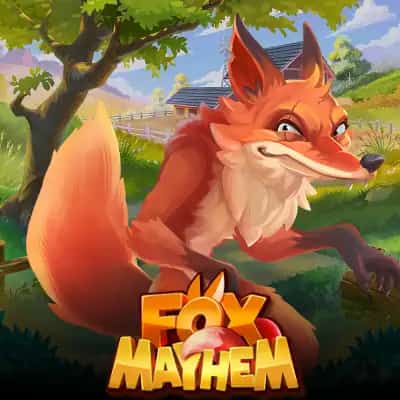 Fox Mayhem