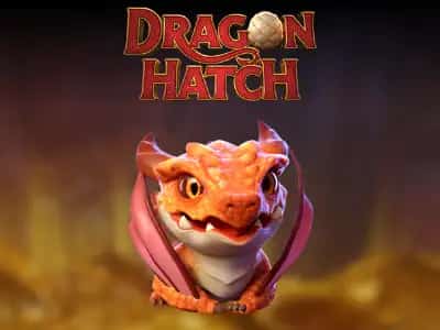 Dragon Hatch