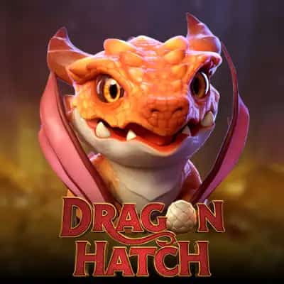 Dragon Hatch