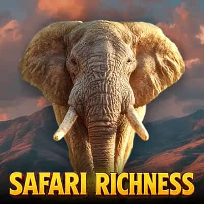 Safari Richness
